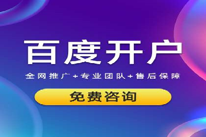 百度竞价推广案例：行业领军者成长故事